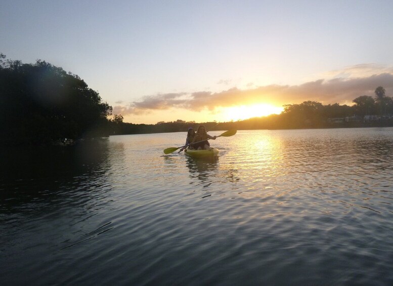 Picture 3 for Activity Brunswick Heads: Brunswick River Sunrise Nature Kayak Tour