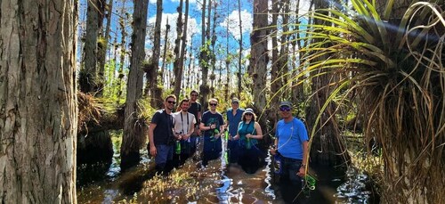 Von Miami aus: Everglades Tour mit Wet Walk, Bootsfahrten und Mittagessen