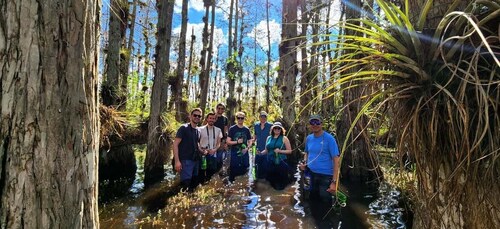 Fra Miami: Everglades-tur med vådvandring, bådture og frokost