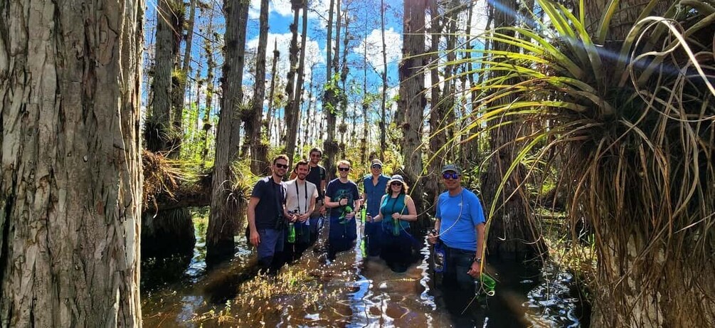 From Miami: Everglades Tour w/ Wet Walk, Boat Trips, & Lunch