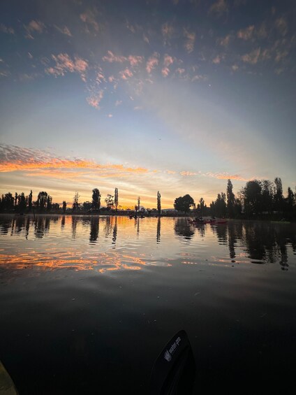 Picture 17 for Activity Xochimilco: Kayak Tour