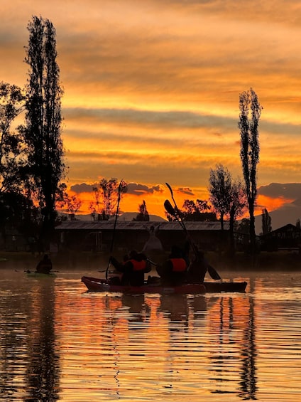 Picture 22 for Activity Xochimilco: Kayak Tour