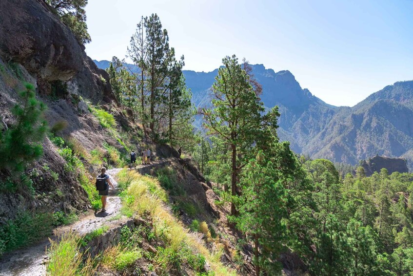 Picture 4 for Activity La Palma: Caldera de Taburiente National Park Guided Hike
