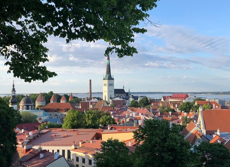 Picture 3 for Activity Iconic Old town Tallinn