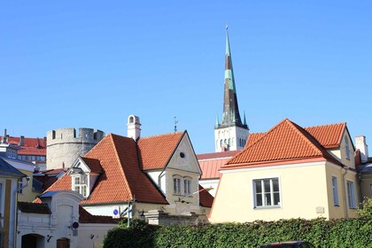 Ikoniska Gamla stan i Tallinn