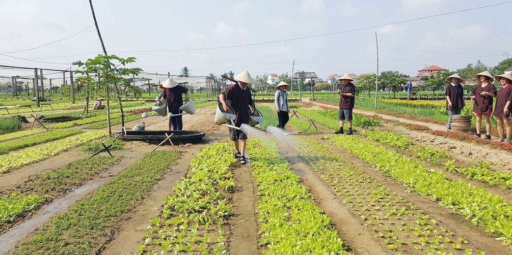 Picture 6 for Activity Hoi An: Evening Cooking Class with Locals in Herbs Village