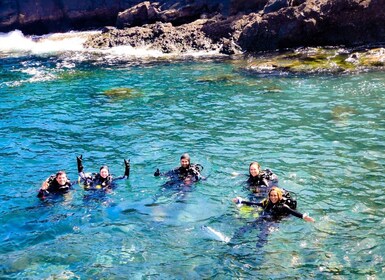 Tenerife: 2-Dive Private Scuba Discovery Course