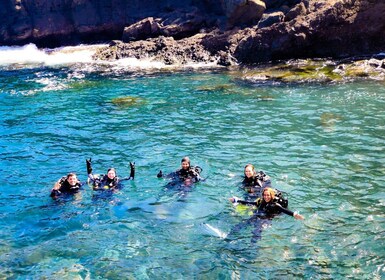 Tenerife: 2-Dive Private Scuba Discovery Course