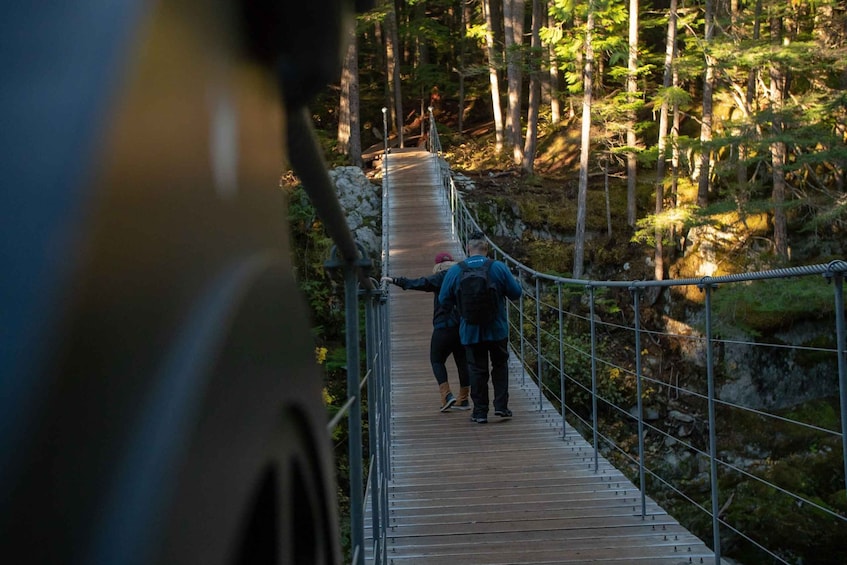 Picture 6 for Activity Whistler: Guided Wilderness Hike