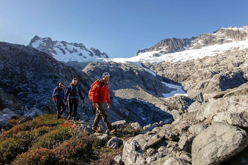 Picture 2 for Activity Whistler: Guided Wilderness Hike