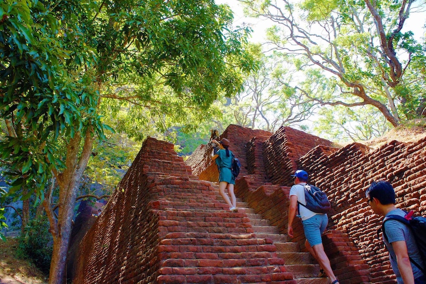 Picture 1 for Activity Private Sigiriya and Dambulla Day Tour from Hikkaduwa