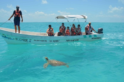 Exclusive Full Day Nature Expedition in Sian Ka'an