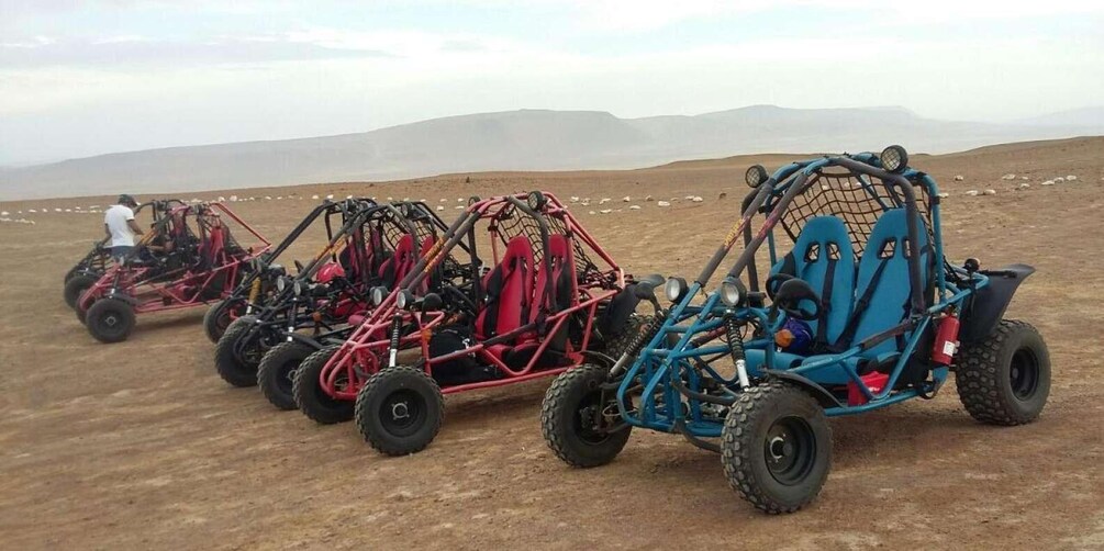 Picture 2 for Activity Paracas Reserve Off-Road Expedition - Buggy or Quad