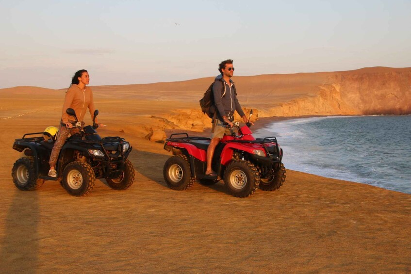 Paracas Reserve Off-Road Expedition - Buggy or Quad