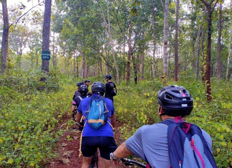 Picture 21 for Activity Chiang Mai: 22 km XC Mountain Biking from Sticky Waterfall