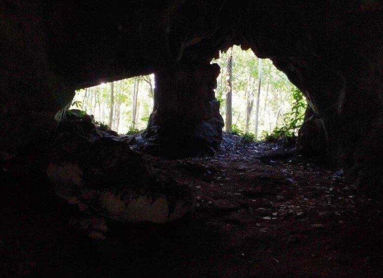 Picture 15 for Activity Chiang Mai: 22 km XC Mountain Biking from Sticky Waterfall