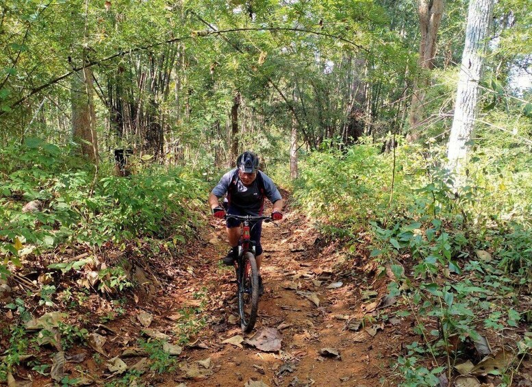 Picture 12 for Activity Chiang Mai: 22 km XC Mountain Biking from Sticky Waterfall