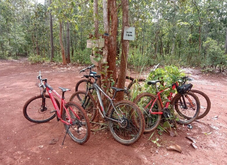 Picture 24 for Activity Chiang Mai: 22 km XC Mountain Biking from Sticky Waterfall