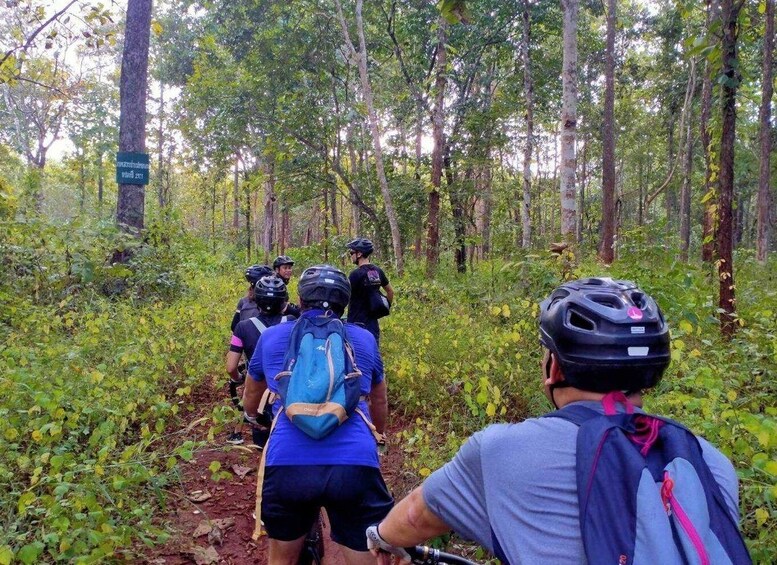 Picture 21 for Activity Chiang Mai: 22 km XC Mountain Biking from Sticky Waterfall