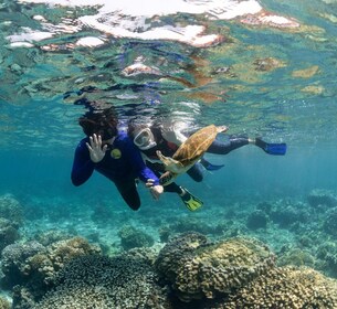 Muscat: Daymaniyat Islands Snorkelling Trip with BBQ Lunch