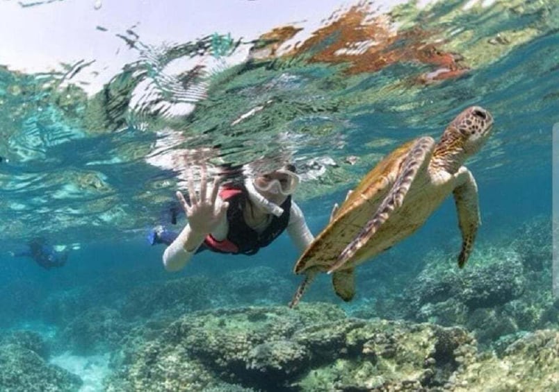 Picture 2 for Activity Muscat: Daymaniyat Islands Snorkeling Tour with BBQ Lunch