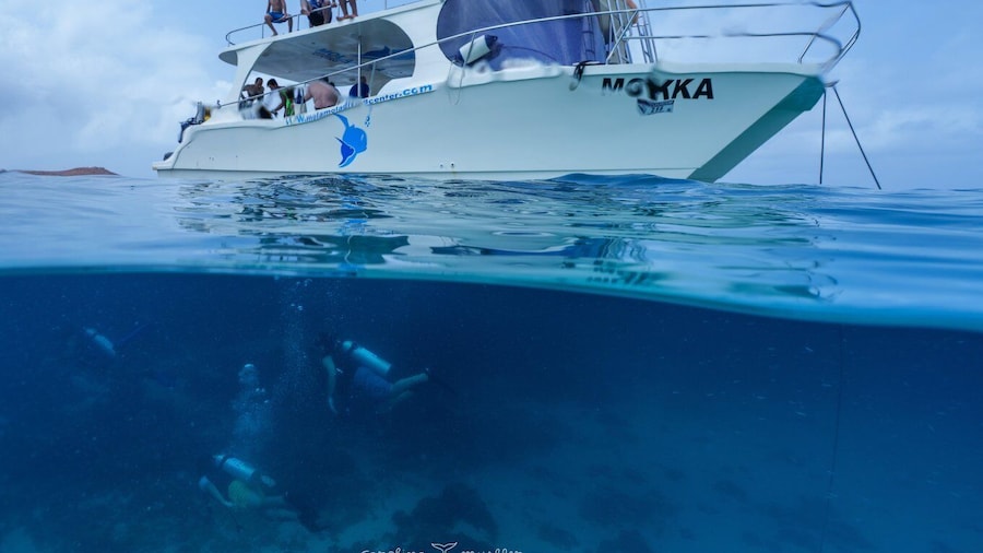 Muscat: Daymaniyat Islands Snorkeling Trip with BBQ Lunch