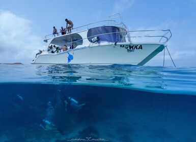 Muscat: Daymaniyat Islands Snorkeling Trip with BBQ Lunch