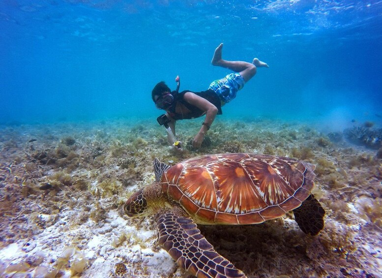 Muscat: Daymaniyat Islands Snorkeling Tour with BBQ Lunch