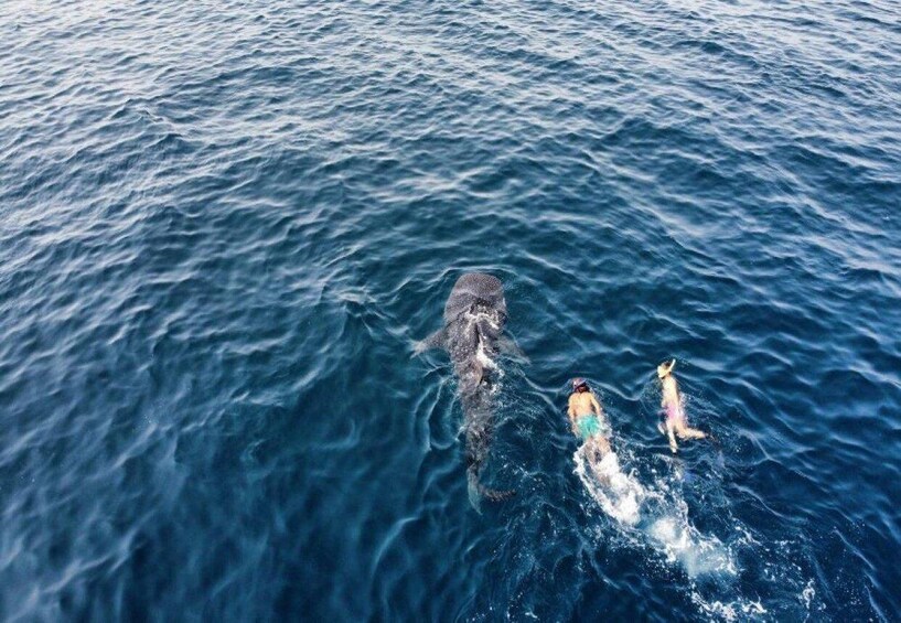 Picture 3 for Activity Muscat: Daymaniyat Islands Snorkeling Tour with BBQ Lunch