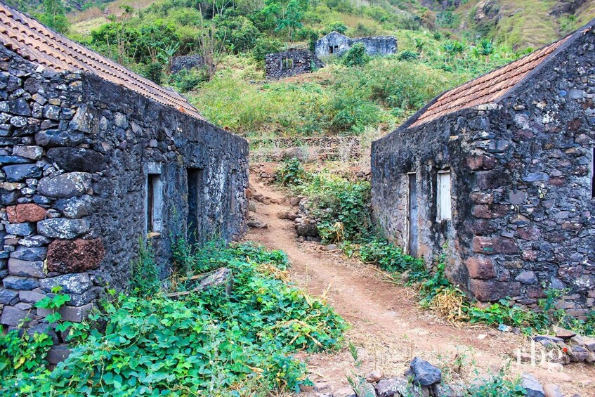 Picture 4 for Activity Hiking Gongon Valley