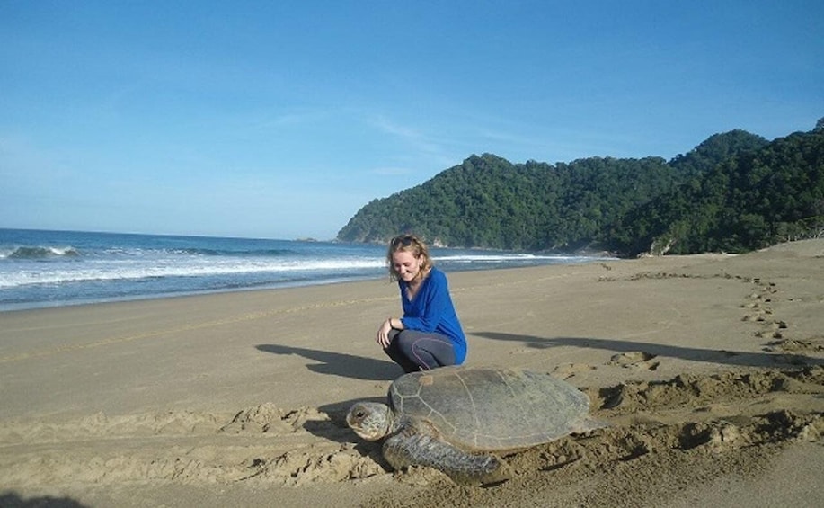 Picture 1 for Activity Sukamade: A Private Tour To See Turtle Lay Egg (2D/1N)