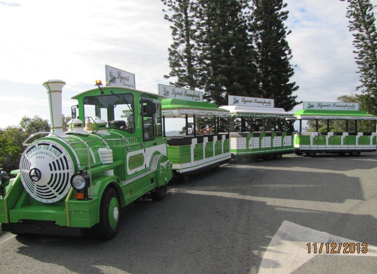 Picture 8 for Activity Famous Local Green Train (01h30) in Nouméa