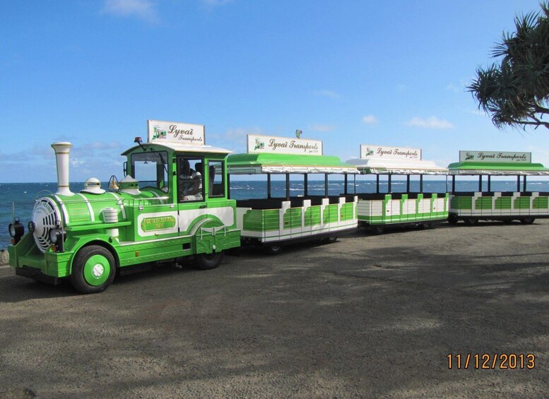 Picture 7 for Activity Famous Local Green Train (01h30) in Nouméa