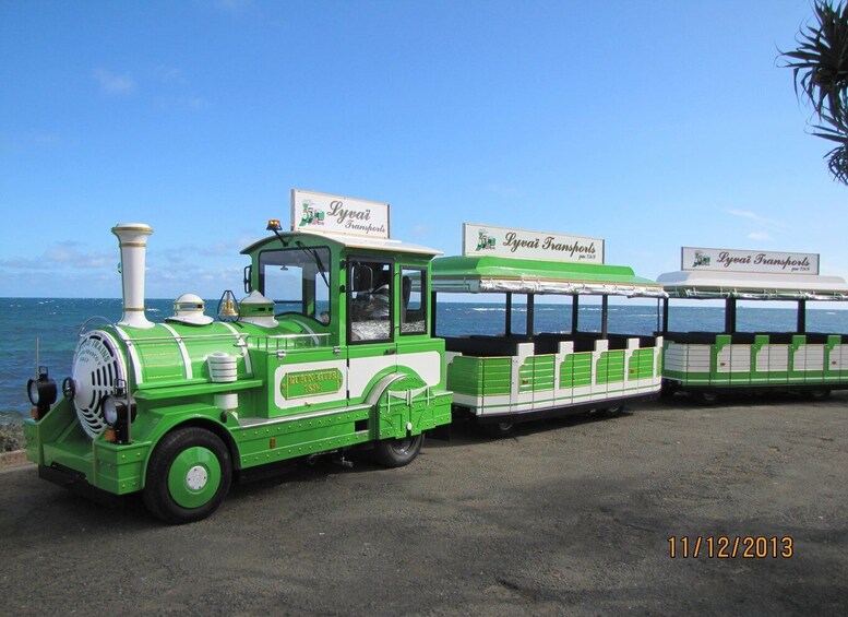 Picture 6 for Activity Famous Local Green Train (01h30) in Nouméa