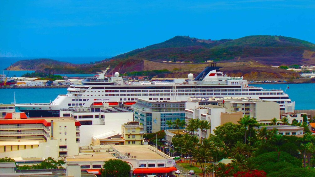 Picture 14 for Activity Famous Local Green Train (01h30) in Nouméa