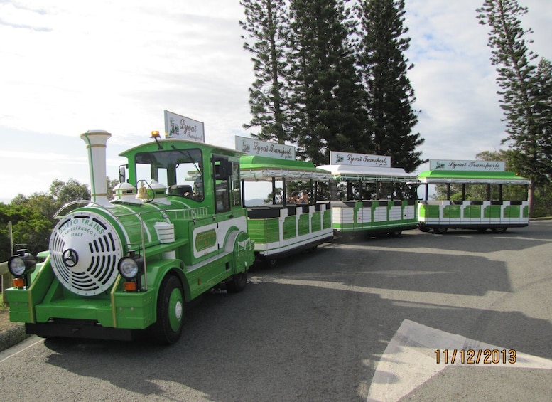 Picture 8 for Activity Famous Local Green Train (01h30) in Nouméa