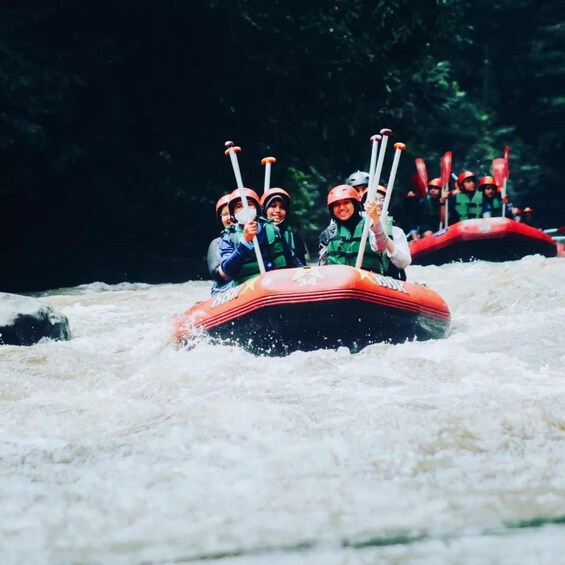 Picture 2 for Activity Ubud River : All Inclusive Rafting Adventure