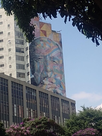 Picture 12 for Activity Walking tour in sao Paulo free spot