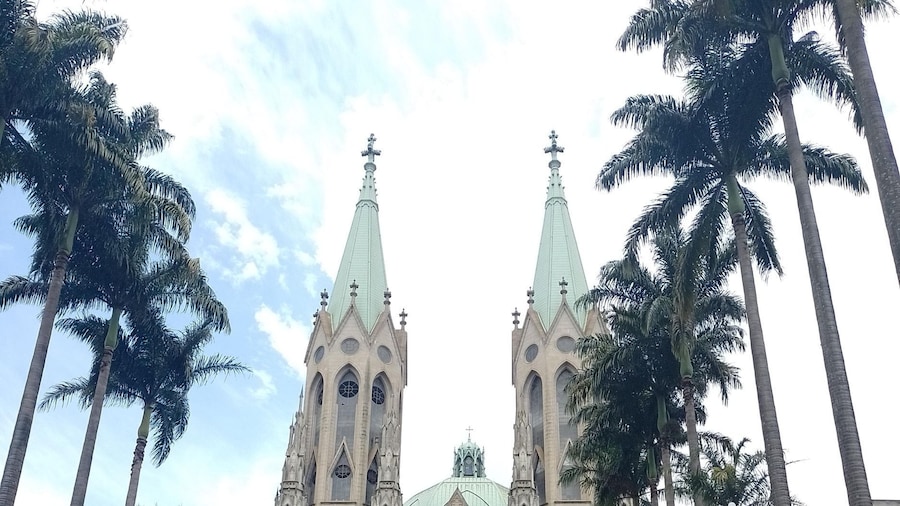 Picture 1 for Activity Walking tour in sao Paulo free spot