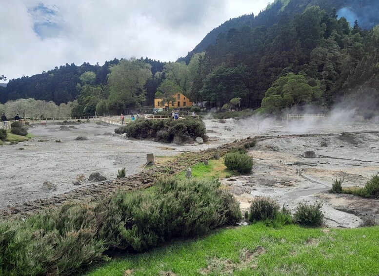 Picture 8 for Activity Furnas: Volcano Crater, Lake, Tea Plantation & Waterfall