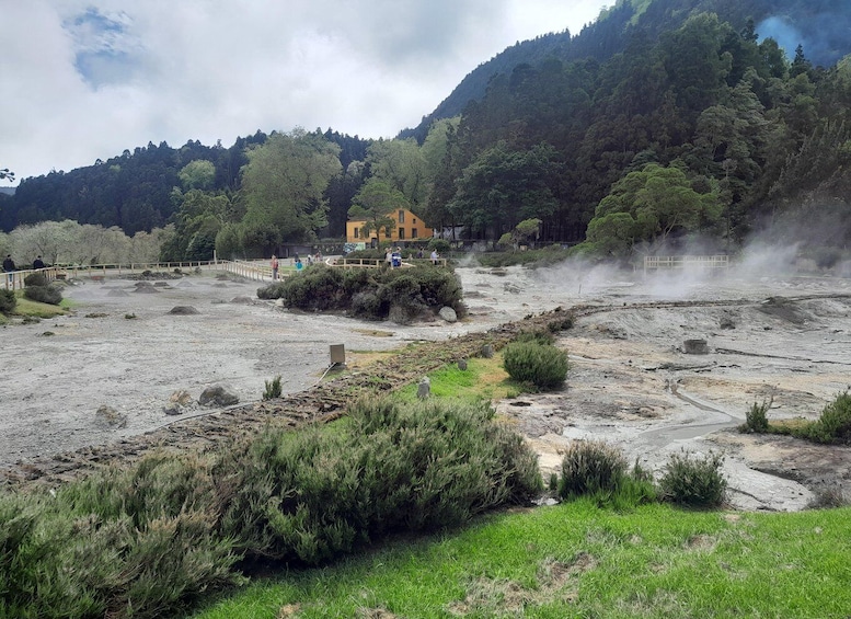 Picture 8 for Activity Furnas: Volcano Crater, Lake, Tea Plantation & Waterfall