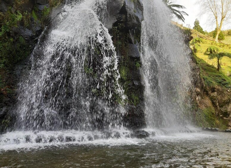 Picture 9 for Activity Furnas Volcano: Hot Springs, Tea Plantation & Waterfall Tour