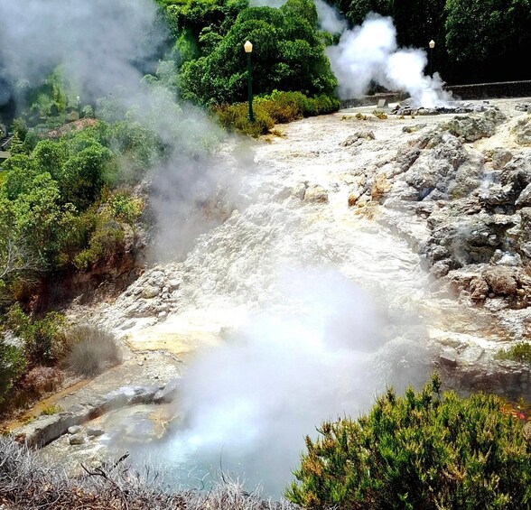 Picture 2 for Activity Furnas: Volcano Crater, Lake, Tea Plantation & Waterfall