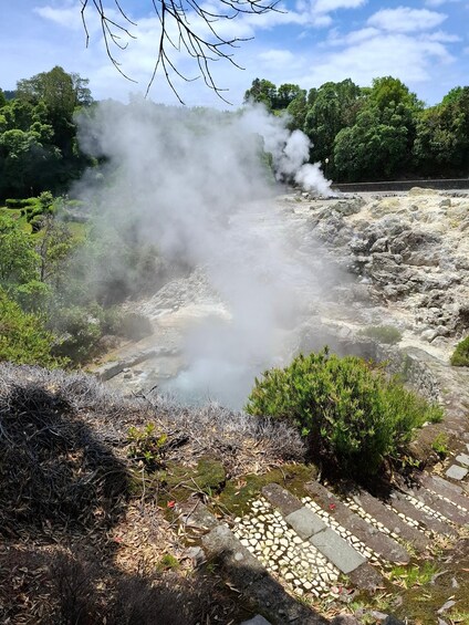 Picture 9 for Activity Furnas: Volcano Crater, Lake, Tea Plantation & Waterfall
