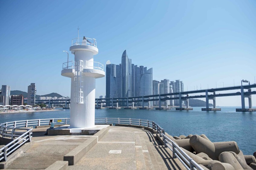 Picture 5 for Activity Busan's Best: Sea Temples, Yacht Tour & Sky Capsule