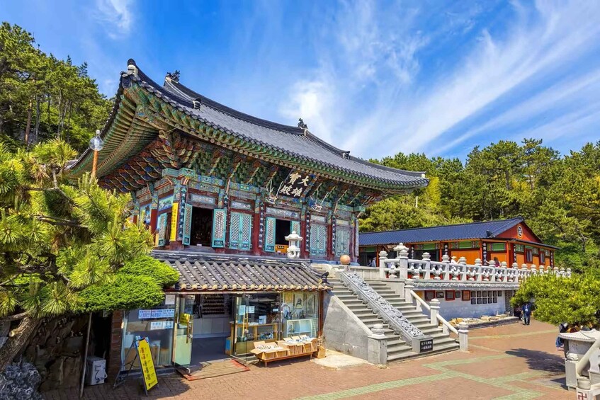 Picture 8 for Activity Busan's Best: Sea Temples, Yacht Tour & Gamcheon Village
