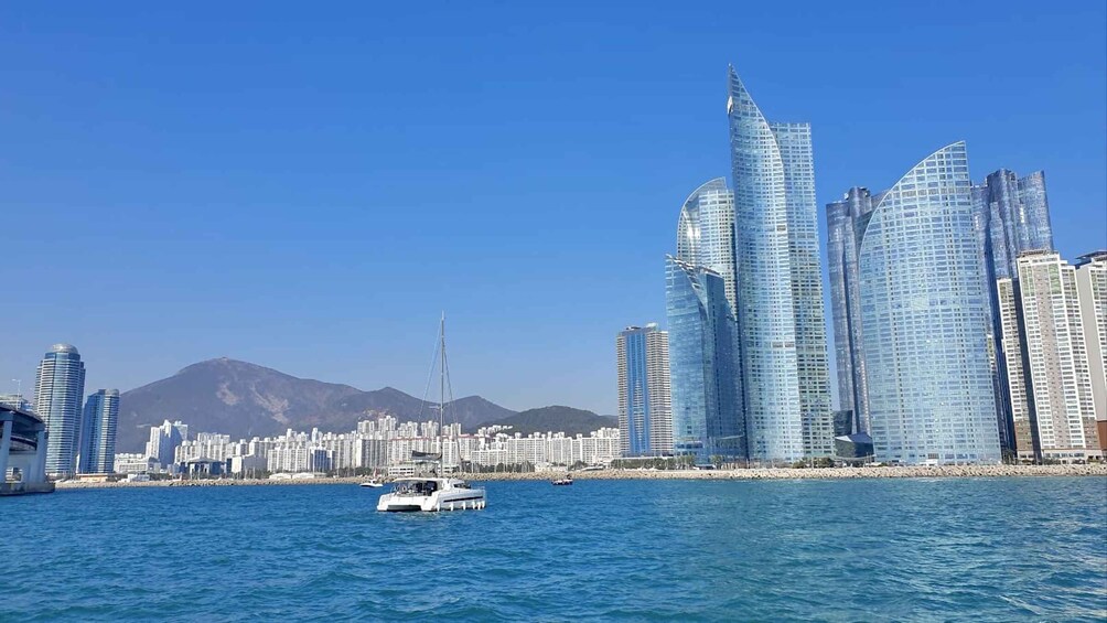 Picture 4 for Activity Busan's Best: Sea Temples, Yacht Tour & Sky Capsule