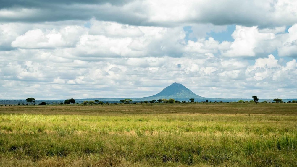 Picture 34 for Activity From Arusha: Private Tarangire and Serengeti Safari Trip