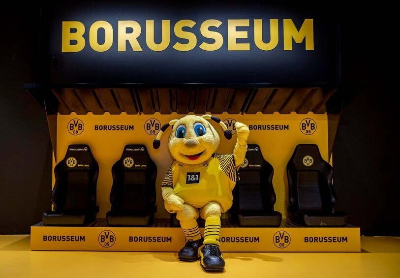 Picture 1 for Activity Dortmund: Borusseum Borussia Dortmund Museum Entry Ticket