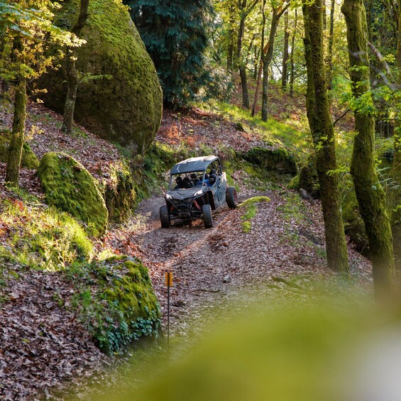 Picture 15 for Activity Arcos de Valdevez & Peneda-Gerês Guided Buggy Ride
